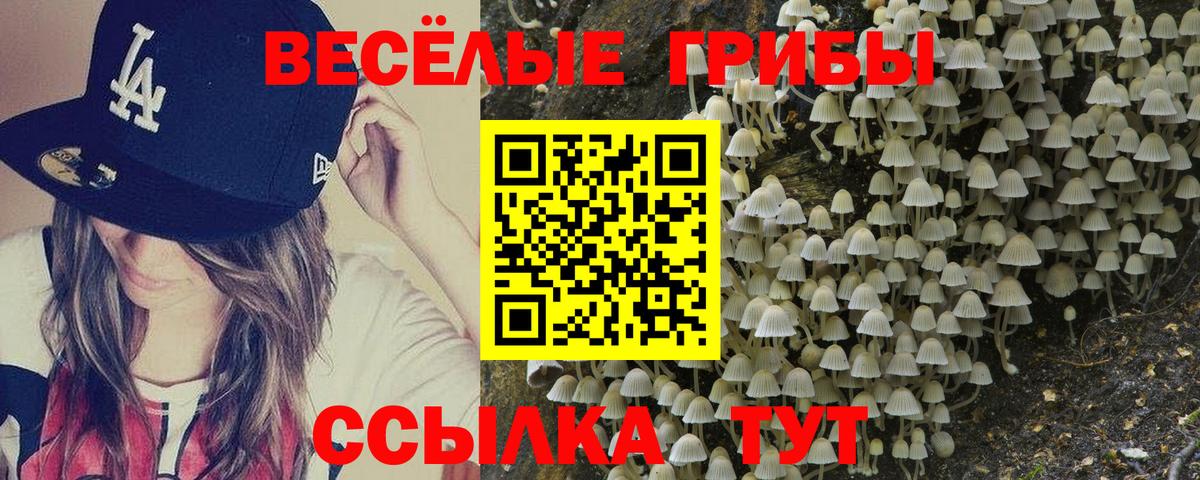 Псилоцибиновые грибы GOLDEN TEACHER Горячий Ключ